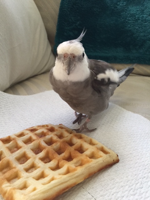 Ohhhhh. "Overtime compensation." I should have guessed.