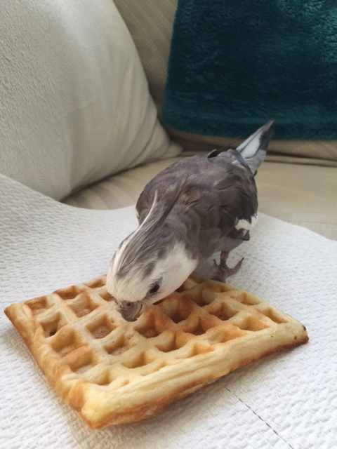 All toasted up - just the way I like it.