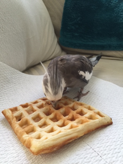 The overtime can start right after I take my contractually-stipulated "waffle break."