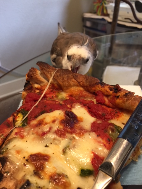 It trusts far too much in this hard, crunchy outer defensive wall to keep it safe.