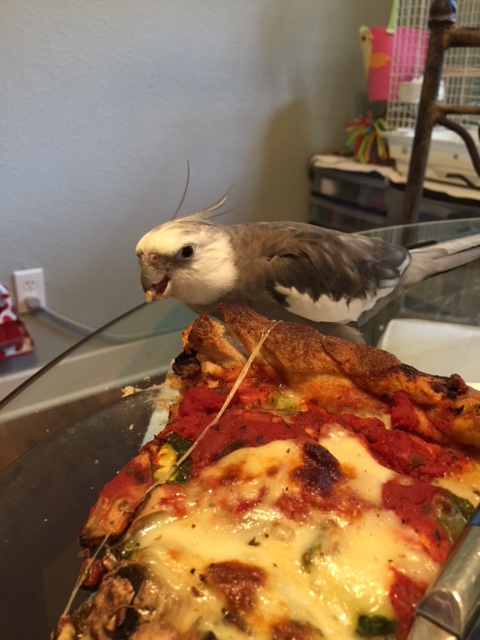 And there is also "cuteness" to consider....