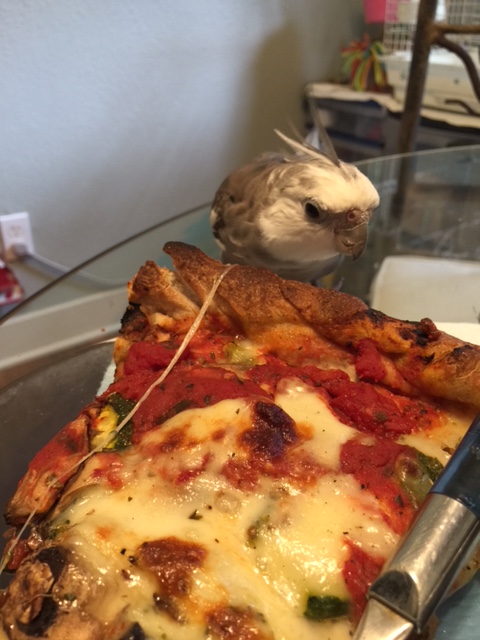 In fact, sometimes I wonder if it even notices.