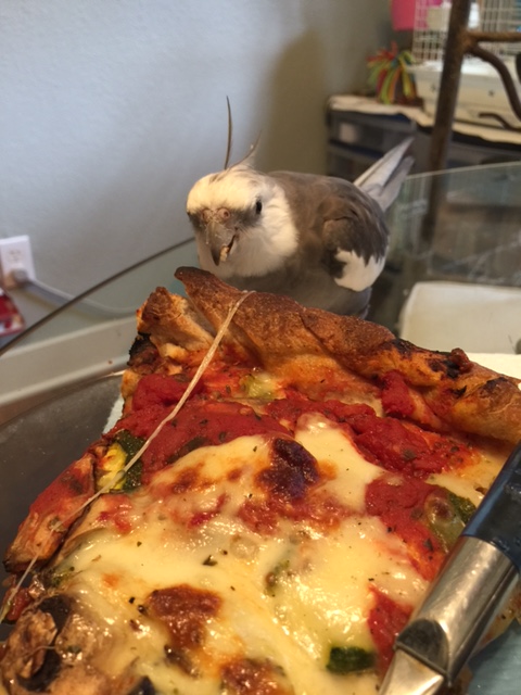 It is also very tasty.