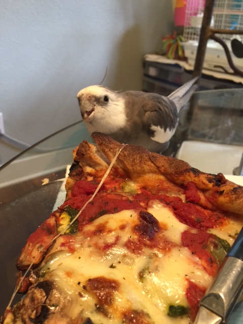 Oh hi Mom - look at this large prey I just brought down! 