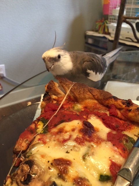 "Your dinner?" I didn't see you doing the hard work of stalking it and bringing it down....