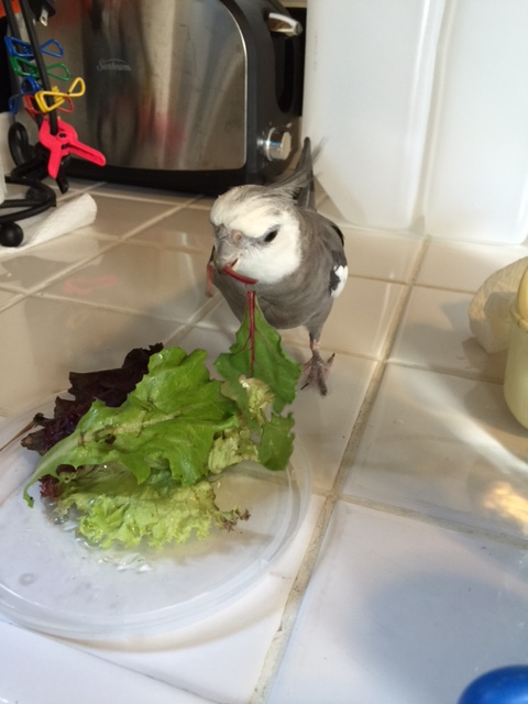 So you can stay. The rest of you....we'll see you back here around lunchtime....