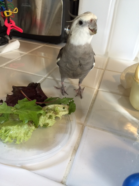 These are today's modeling props? Okay, just making sure...