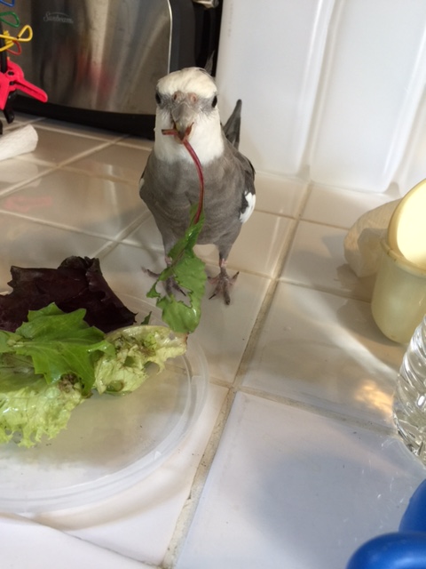 And here I present "Exhibit A." This is not bringing your A-game.