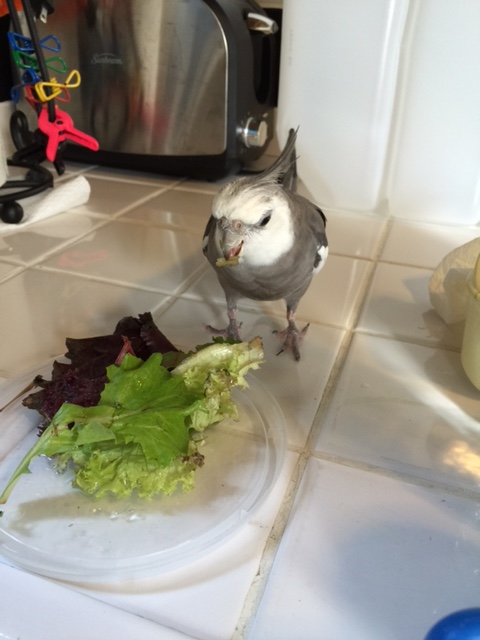 Surely someone in this group can show me what an A-game prop acts like....?