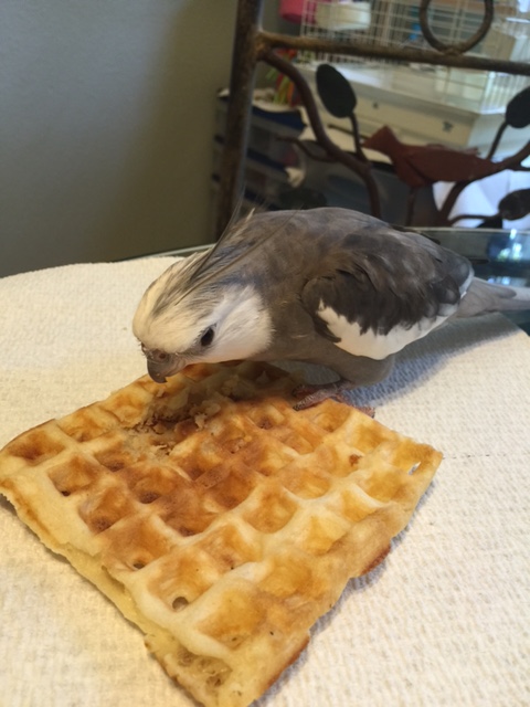 Okay, Mom, now try to watch very closely this time.