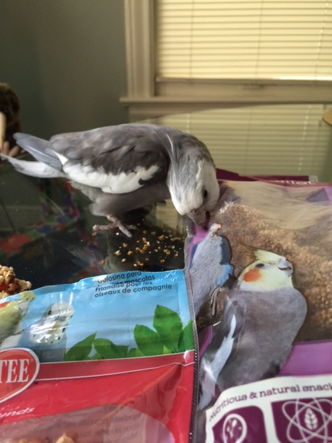 Nom nom nom nom nom....