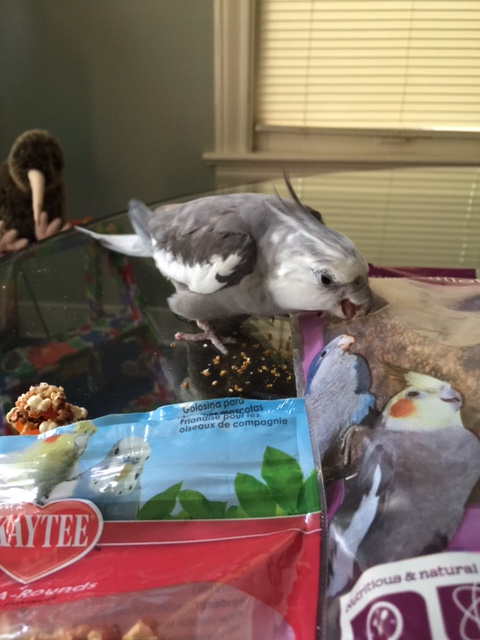 Well I'll just dig right in then!