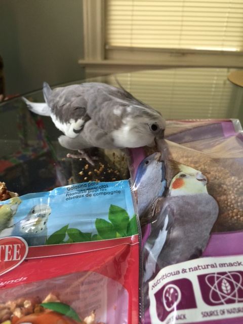 Um, Mom....don't you have a thank you card to write or something?