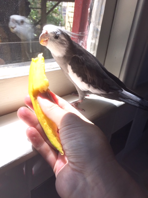 Wow. I've never seen Mom try to use the small rectangular flashing thing with her left hand before....