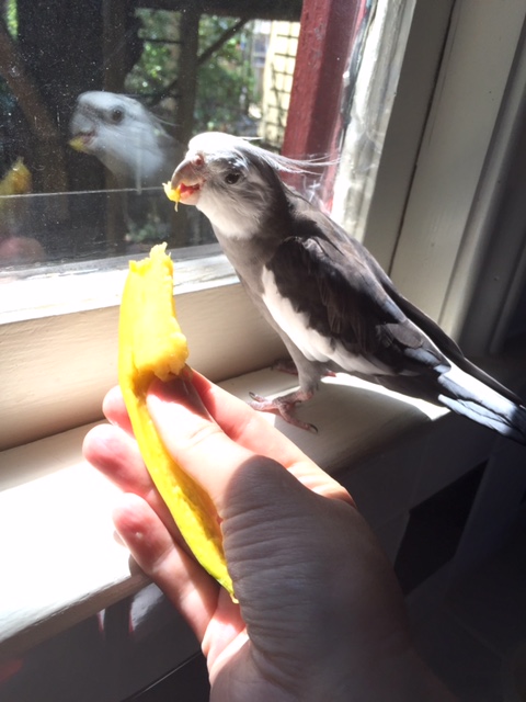 Who knew! You know, Mom, this isn't half-bad.