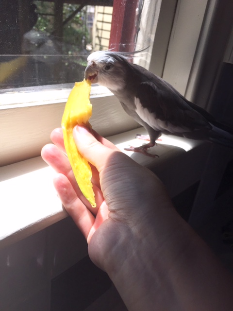 Although I did wake up this morning in the mood to try new things.