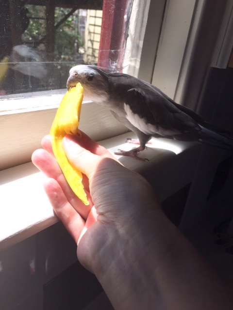 Well if we are going to do a photo shoot, let's make it an "action shoot."