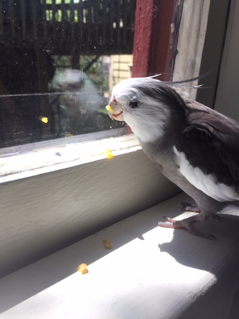 I'm all set to be like, "Uh, Mom, really...?"