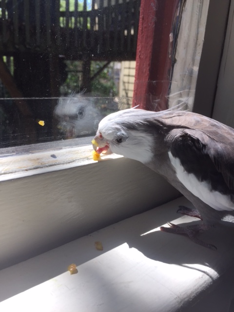 So I decide to sample it.