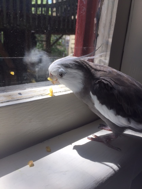 ...when I notice it doesn't look or smell half-bad.