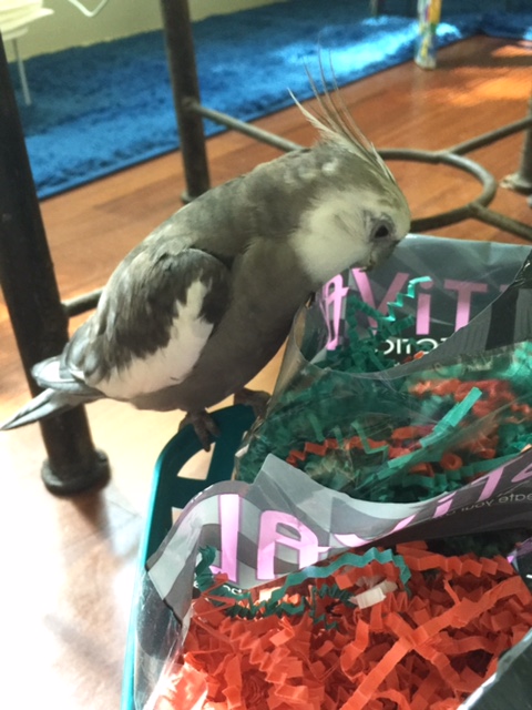 Look at all these dangerous strangers clustered in here.