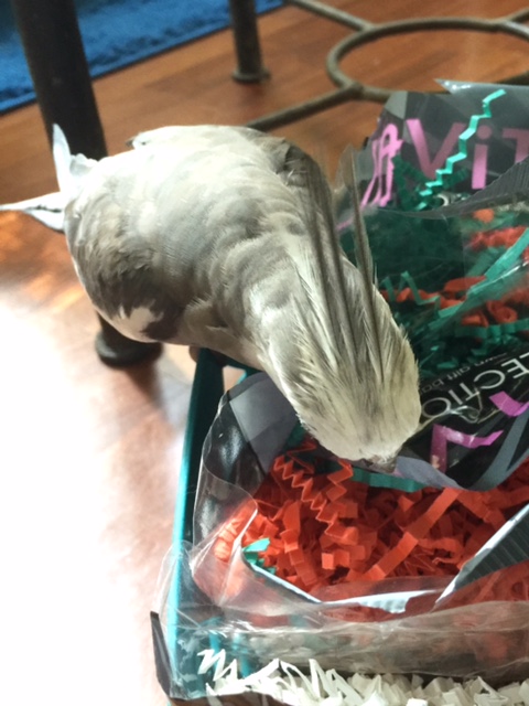 Going once, going twice....