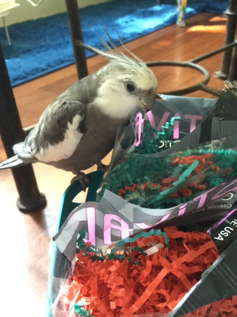 Oh boy. My super spy instincts are never wrong.