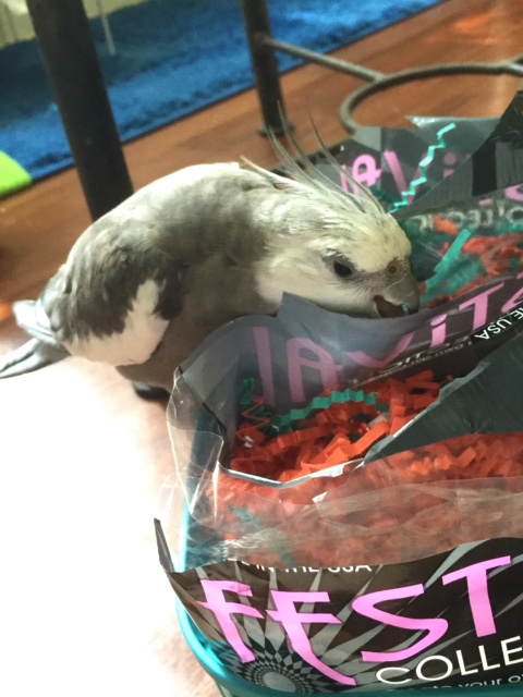 I know you didn't just say, "Or what?!"