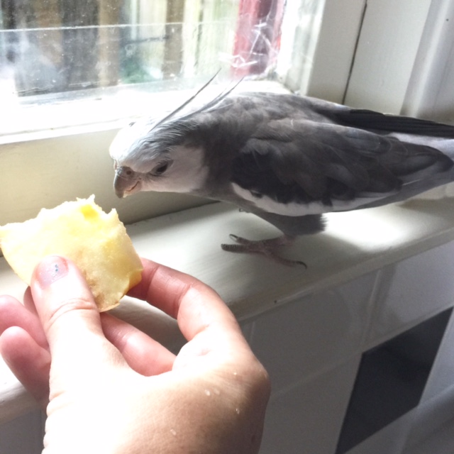 Wow! Surprisingly "fling-able." Who knew....!