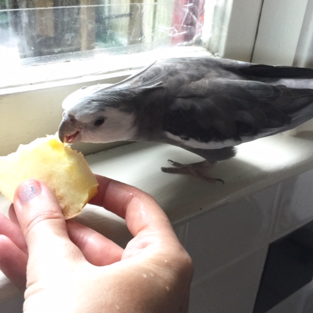 Texture is interesting. In fact, I wonder if....