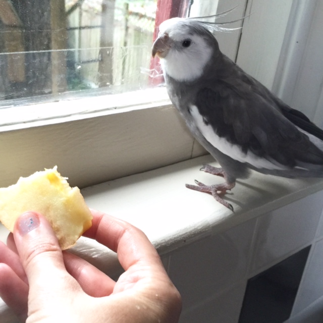 Poor dear. Her palate is just not sensitive enough - one only need taste her cooking for proof.