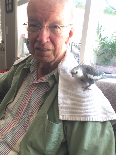 My Tall Tree is the BEST tree ever. 