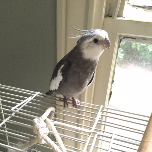 Oh hi Mom. Where're you going?