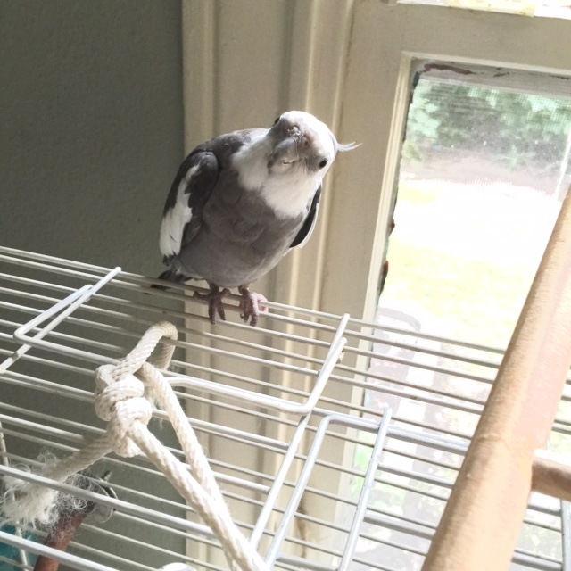 Now where are you going? 