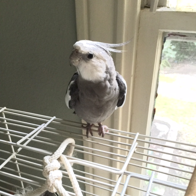 And wrap up the shoot with a (common) shot of my exceptionally cute profile.....