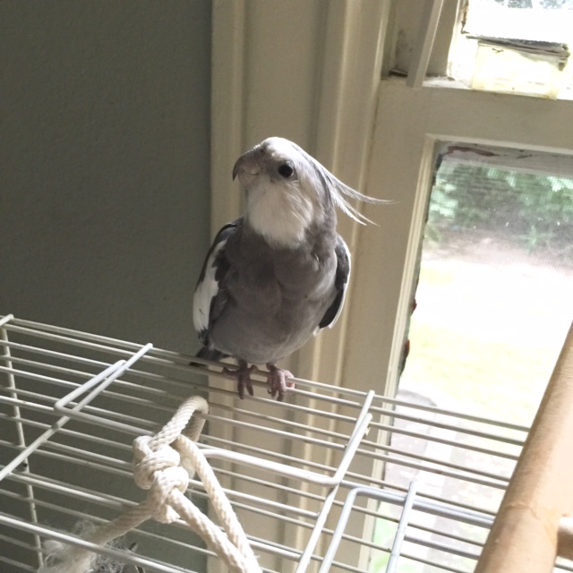 You know, I couldn't help but notice how cute I looked when I woke up this morning.