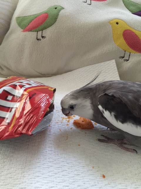 I can't argue with you there, Mom - tell you what. I'll just keep chomping cutely and looking very pretty while you start carrying the plunder, ok?