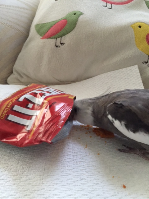 Hmmmm. Yes, I think this item may have "plunder potential."