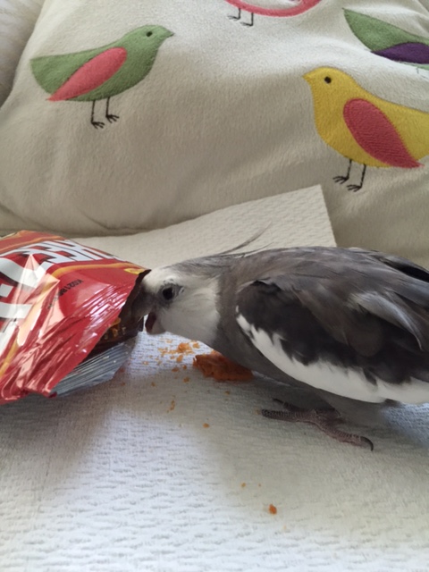 CRUNCH CRUNCH....yes, definitely plunder-worthy.