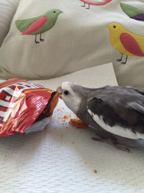 It's a particularly crunchy and tasty haul if I do say so myself.