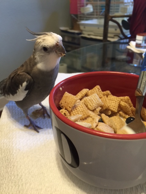 Well of course it is important! Now they're saying they all want autographs before they are consumed.