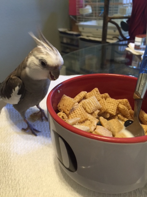 Well this looks tasty and I'm very hungry, so I'll just dig right in!