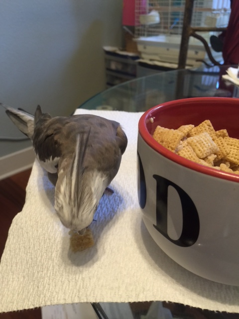 So look. I have some bad news....and some good news. The bad news is, I'm full. 