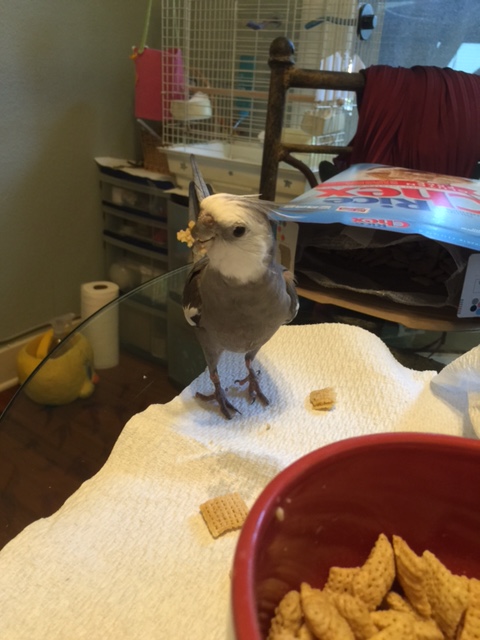 The good news is - you are all going to be in my next modeling shoot!