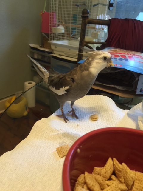 Yup, that's right - you are all going to be famous too!