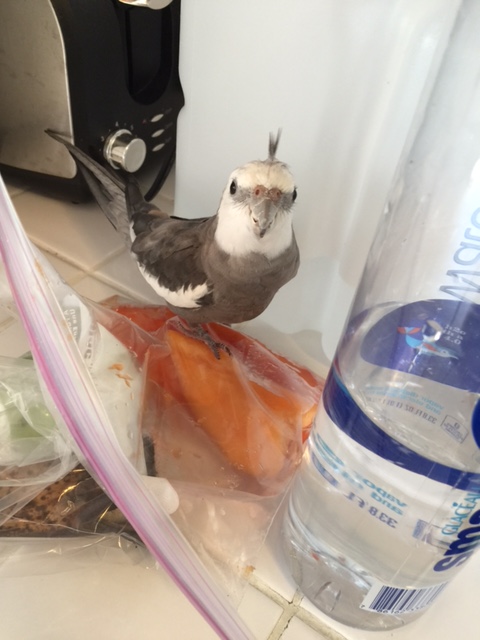 Mine. Mine, Mom. These, um, things are already claimed. 