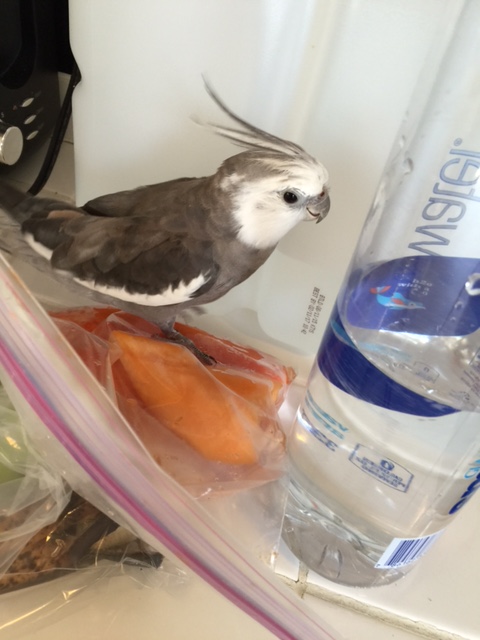 So far I'm not seeing anything I simply must have.