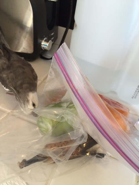 Let me just take a look to see if I can identify any of these items.