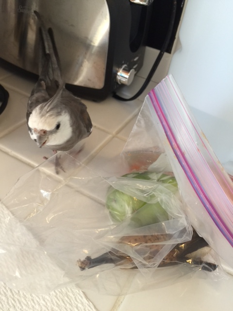 Gosh, I wonder what all this is.