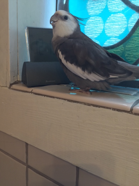 I just can't think where it might have been...?